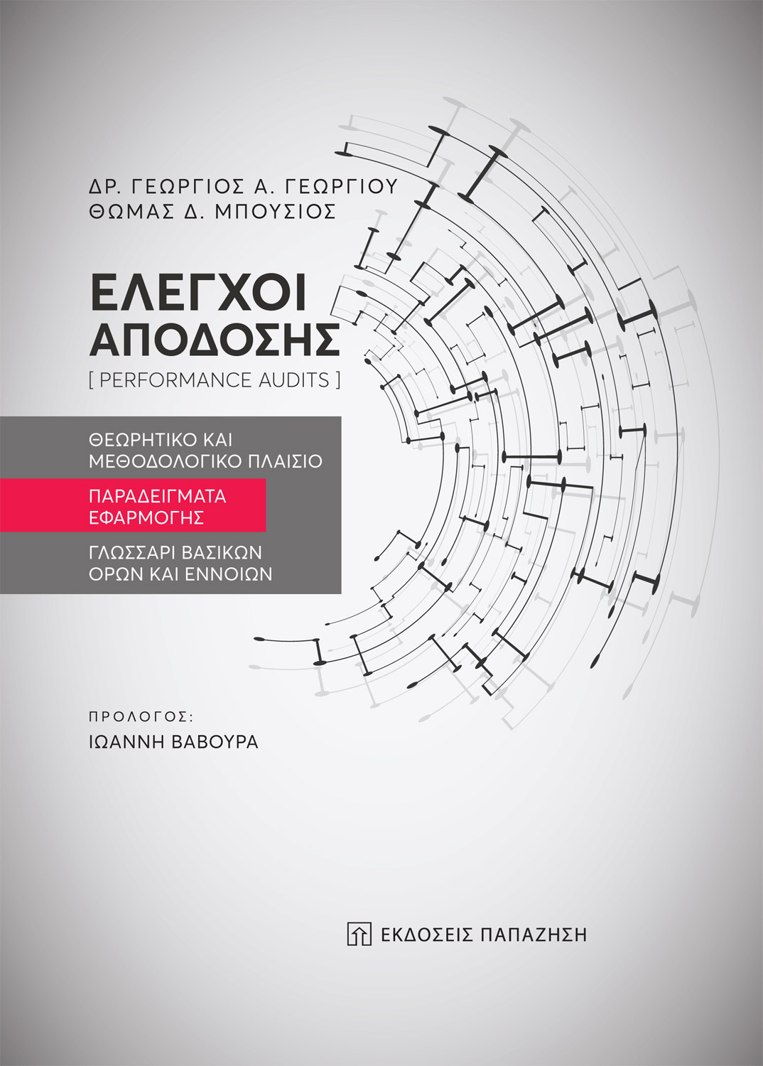 Έλεγχοι απόδοσης (performance audits)
