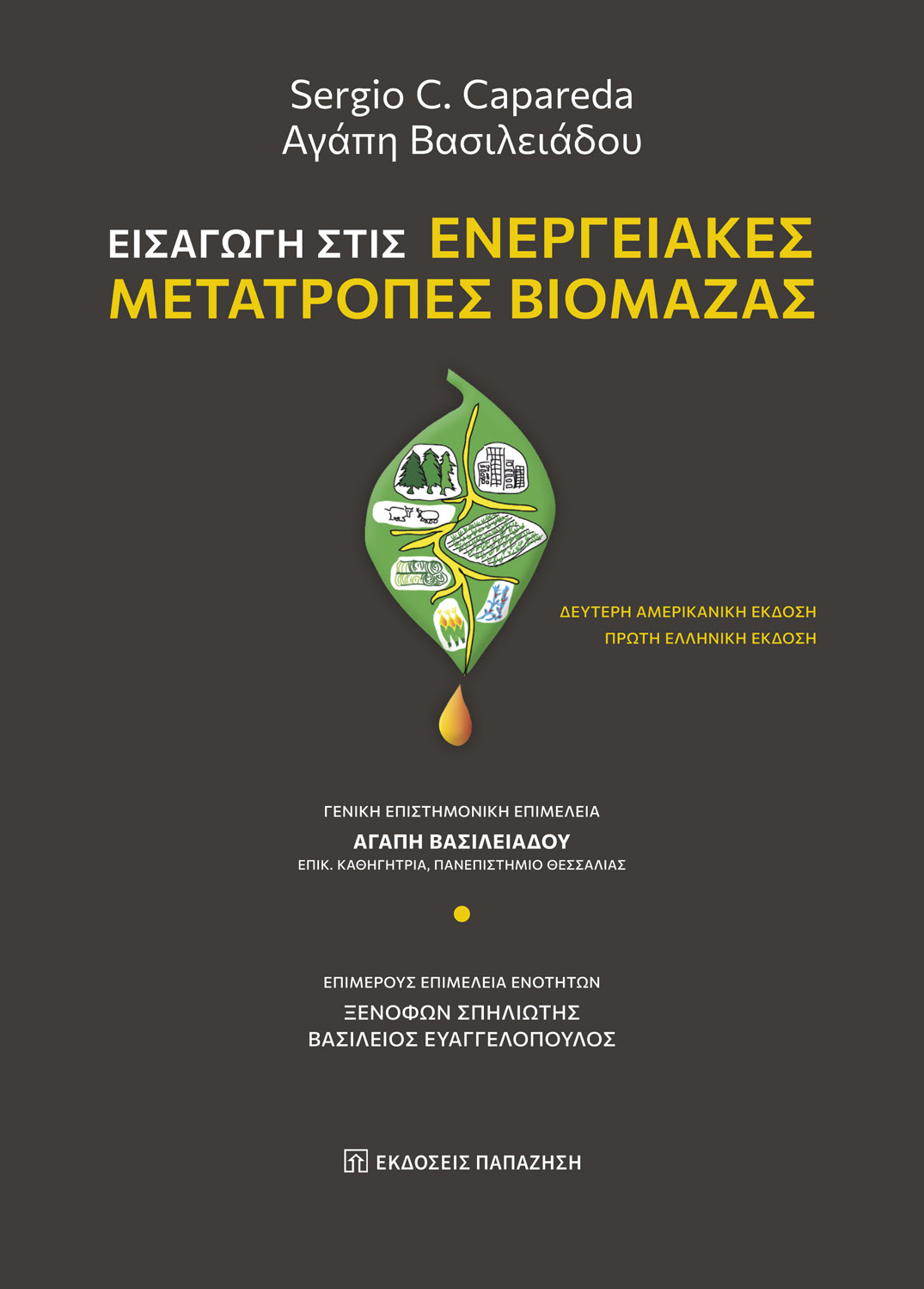 Εισαγωγή στις ενεργειακές μετατροπές βιομάζας
